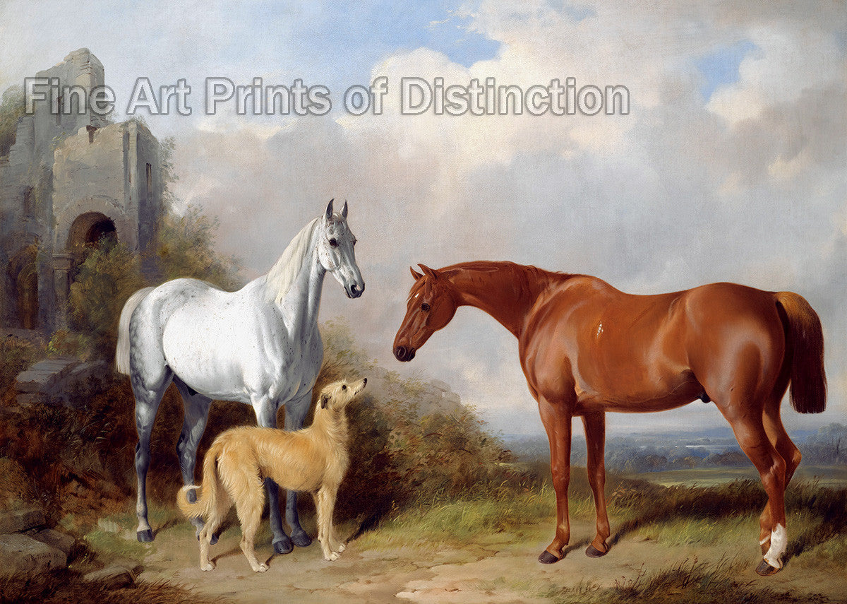 An archival premium quality art print of Grey, Chestnut Hunter and Deer Hound as painted by William Barraud in 1845 for sale by Brandywine General Store