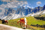An archival premium Quality art Print of Horses in Front of Peaked Mountains for sale by Brandywine General Store