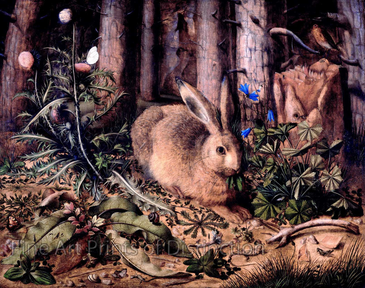A Hare in the Forest by Hans Hoffman