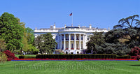 The White House in Washington DC Art Print