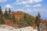 An original premium Quality Art Print of Rocks, Fall Colored Trees and Spruce Snags on Dolly Sods for sale by Brandywine General Store