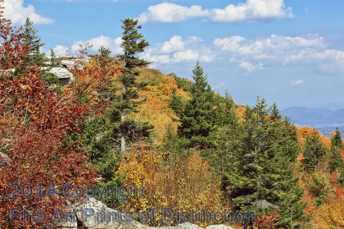 Rocks and Fall Colors on the Horizon at Dolly Sods Art Print