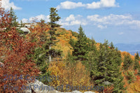 An archival premium Quality Art Print of Rocks and Fall Colors on the Horizon at Dolly Sods for sale by Brandywine General Store.