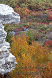 Fall Leaves and Ancient Carving on Dolly Sods Art Print