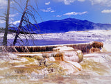 A Museum Quality print of Mammoth Hot Springs in Yellowstone National Park in WY for sale by Brandywine General Store