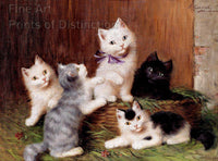 An archival premium Quality art Print of Kittens by Sophie Sperlich, a German artist for sale by Brandywine General Store