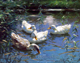 An archival premium quality art print of Four Ducks on a Pond by Alexander Koester for sale by Brandywine General Store