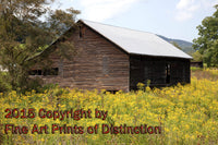 An archival premium Quality Art Print of a Barn in a Sea of Yellow Flowers for sale by Brandywine General Store