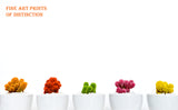 A Museum Quality Art Print of Colorful Cacti in White Flower Pots for sale by Brandywine General Store