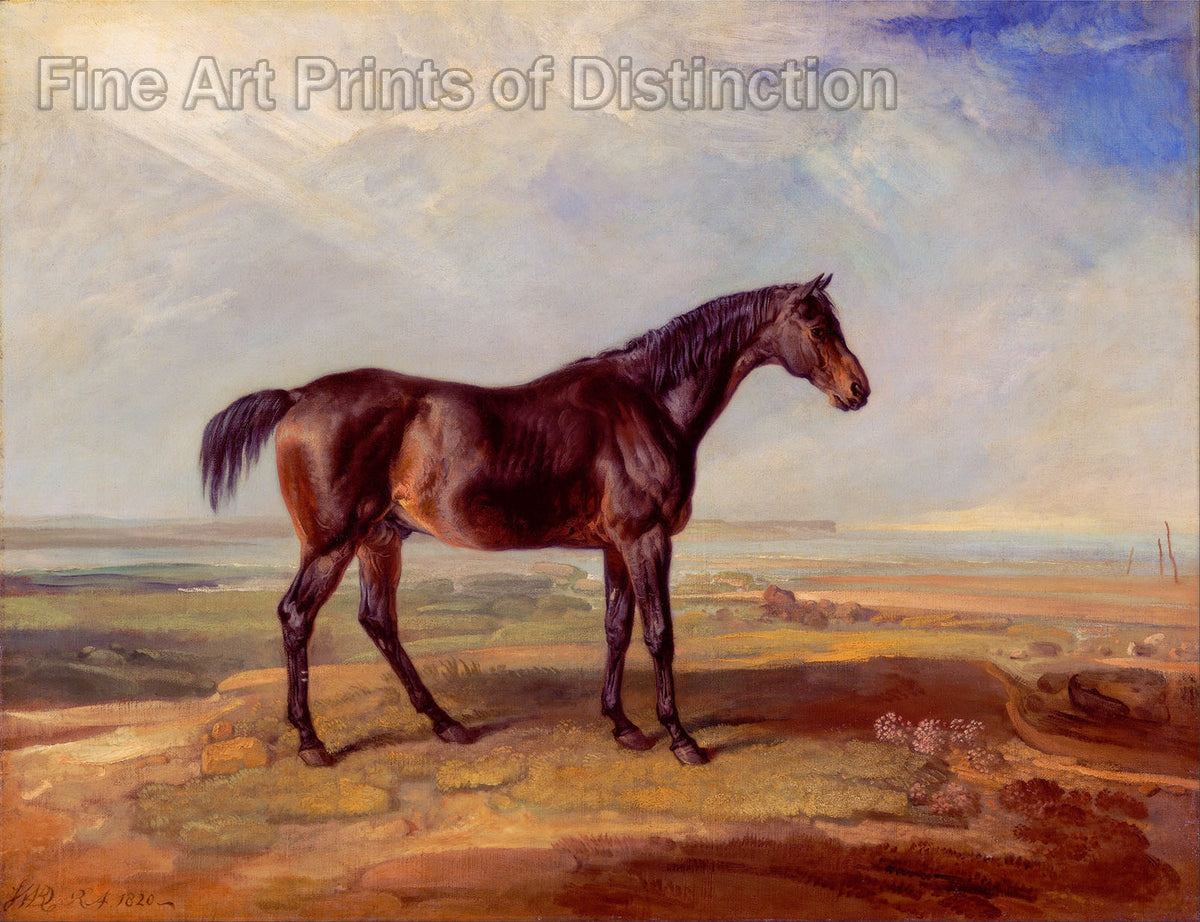 An archival premium Quality art Print of Dr. Syntax A Bay Racehorse Standing in a Coastal Landscape painted by artist James Ward in 1820 for sale by Brandywine General Store