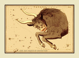 A premium Quality Print of the Taurus Constellation by Jehoshapat Aspin being Card #17 out of a set of 32 entitled Urania's Mirror for sale by Brandywine General Store