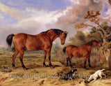 An archival premium Quality art Print of Portrait of Reformer, Blucher, Tory and Crib painted by notable animal artist James Ward in 1835 for sale by Brandywine General Store