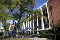 Mountainlair with Lamp Post in the Corner