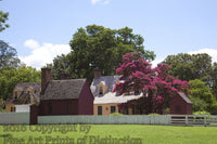 Beautiful Homestead with Pink Crepe Myrtle in Williamsburg