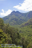 An archival premium Quality art Print of the Chimney Tops in the Smokey Mountain National Park shown in a vertical format for sale by Brandywine General Store.