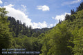 An archival premium Quality art Print of A Trough in the Great Smokey Mountains for sale by Brandywine General Store