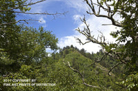 An archival premium Quality Part rint of Skeletal Branches Framing a Small Rocky Mountain Dome for sale by Brandywine General Store.