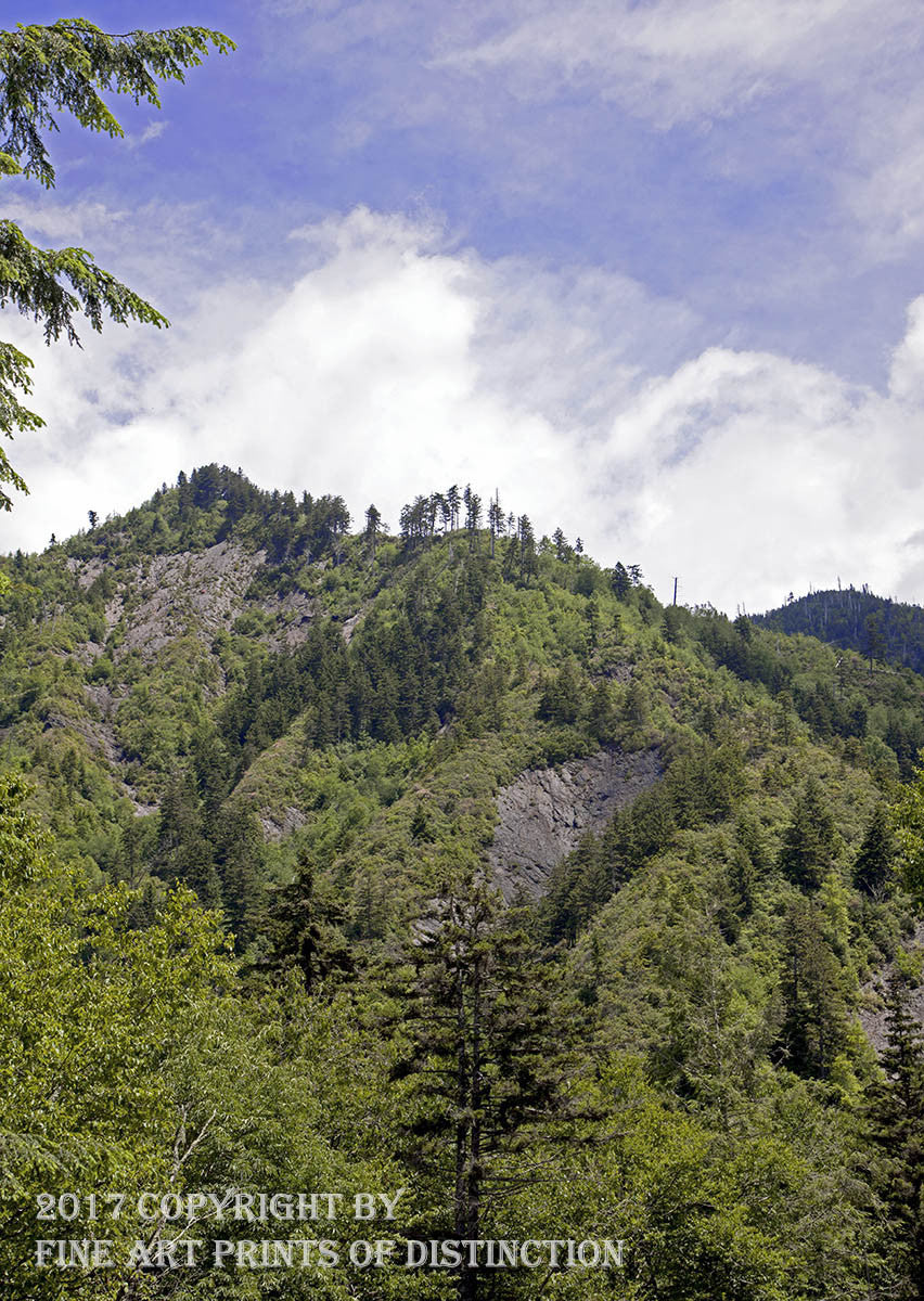 An archival premium Quality Print of a Rocky Dome in the Great Smokey National Park for sale by Brandywine General Store