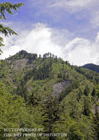 An archival premium Quality Print of a Rocky Dome in the Great Smokey National Park for sale by Brandywine General Store