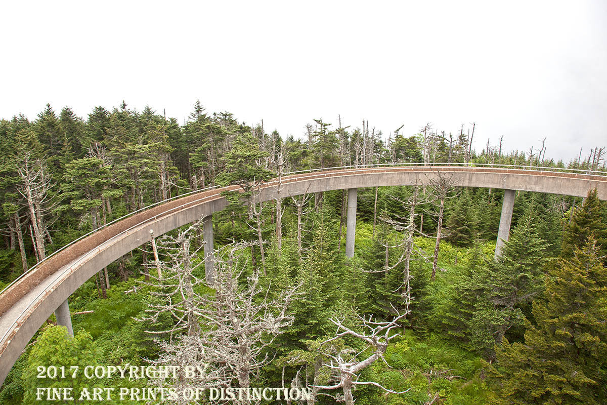 An archival premium Quality art Print of the Ramp up to the Tower on Top of Clingmans Dome for sale by Brandywine General Store