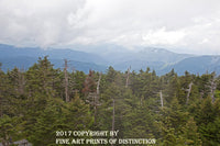 An archival premium Quality Print of the Start of the Appalachian Trail Going off Clingmans Dome for sale by Brandywine General Store.