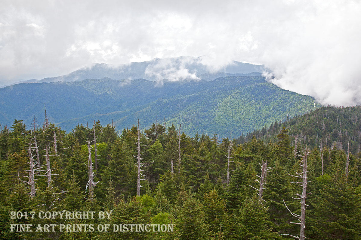 An archival premium Quality art Print of an Eastern View from the Tower on top of Clingmans Dome with Heavy Cloud for sale by Brandywine General Store