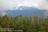 An archival premium Quality Print of a Western View from the Clingmans Dome Observation Tower for sale by Brandywine General Store