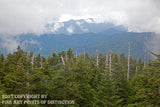 An archival premium Quality Print of a Western View from the Clingmans Dome Observation Tower for sale by Brandywine General Store