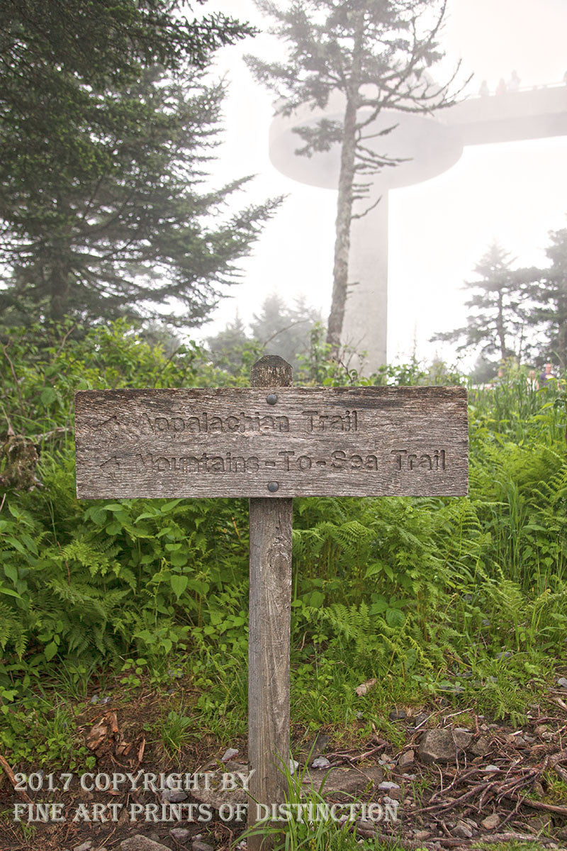 An archival premium Quality art Print of the Appalachian Trail Sign with Clingmans Dome Observation Tower in the Background shrouded in a heavy cloud for sale by Brandywine General Store