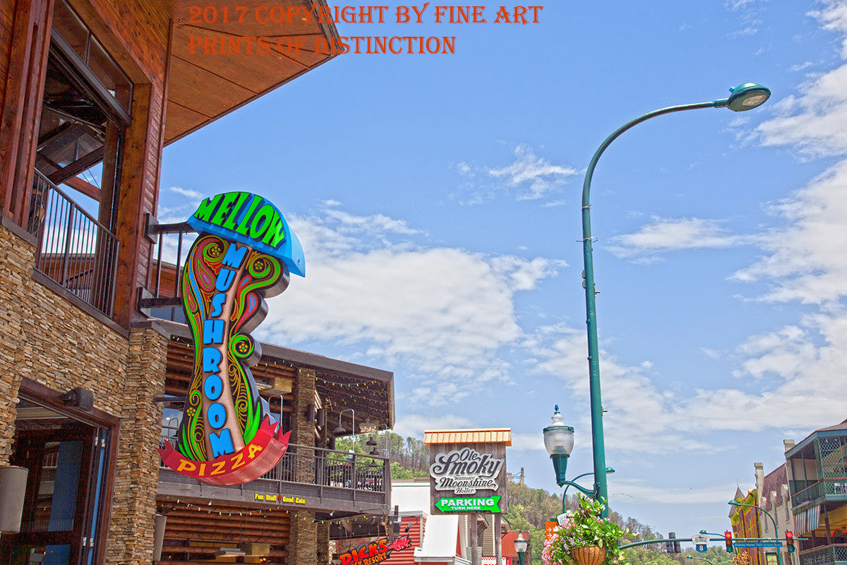 A Museum Quality Art Print of A Groovy Scene in Gatlinburg Tennessee showing the pizza parlor with the great name Mellow Mushroom Pizza for sale by Brandywine General Store