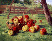 An archival premium Quality art Print of Apple Harvest by the artist Carl Vikas for sale by Brandywine General Store.
