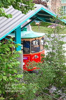 An archival premium Quality Art Print of a Trolley Car Hiding in the Brush at Gatlinburg Tennessee for sale by Brandywine General Store