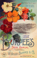 1898 Burpee's Farm Annual Seed Catalog Print