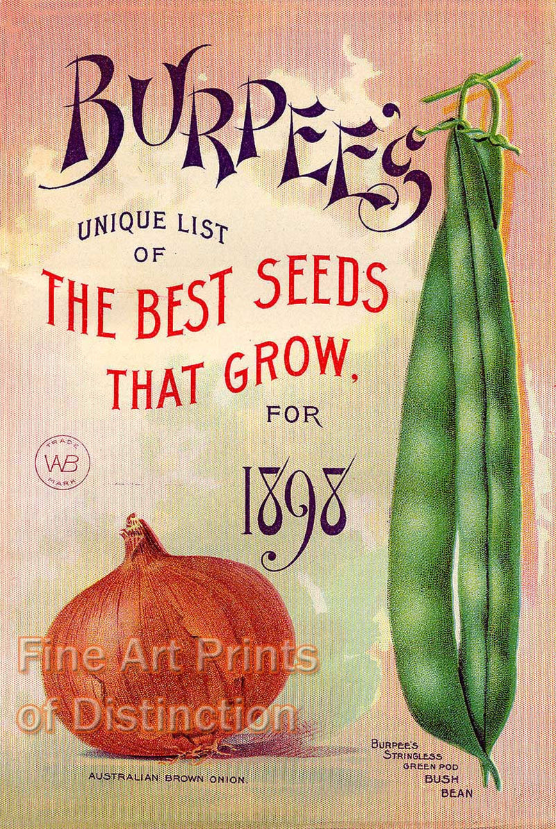 burpees plants and seeds Burpee's 1898 Seed Catalog