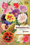 W. W. Barnard 1898 Seed Catalog