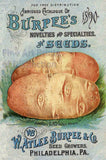1890 Burpee's Seed Catalog art print reproduction