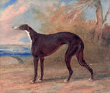 An archival premium Quality art Print of One of George Lane Fox's Winning Greyhounds, the Black and White Greyhound Bitch, Juno, also called Elizabeth by George Garrard