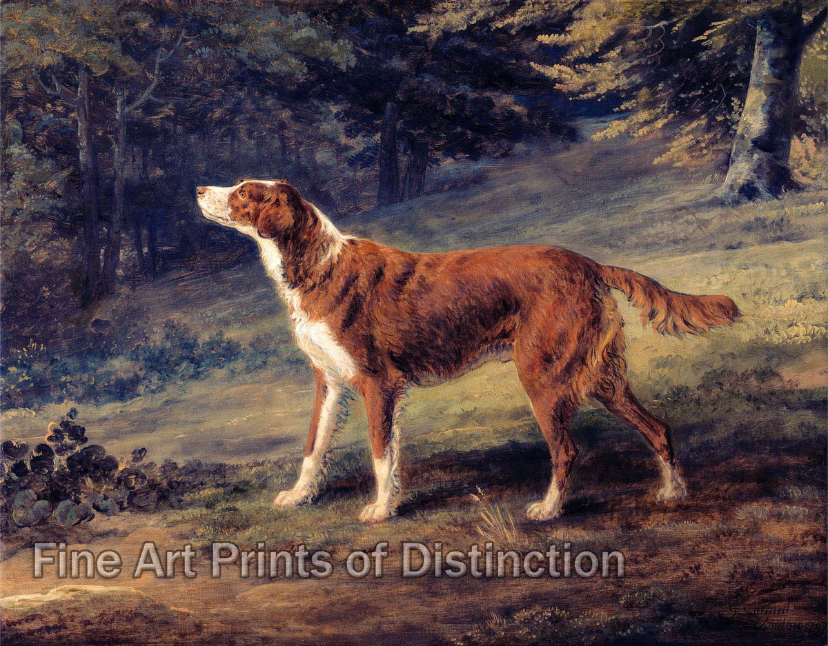 An archival premium Quality art Print of Ranger a Setter Property of Elizabeth Gray painted by George Garrard in 1797 for sale by Brandywine General Store