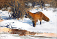 An archival premium Quality art Print of Fox in Winter Landscape by Swedish Wildlife artist Bruno Liljefors for sale by Brandywine General Store