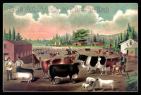 A Museum Quality print made over an early American print called Butcher's Delight from 1885 for sale by Brandywine General Store