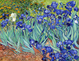 An archival premium Quality art Print of Irises by Vincent Van Gogh for sale by Brandywine General Store