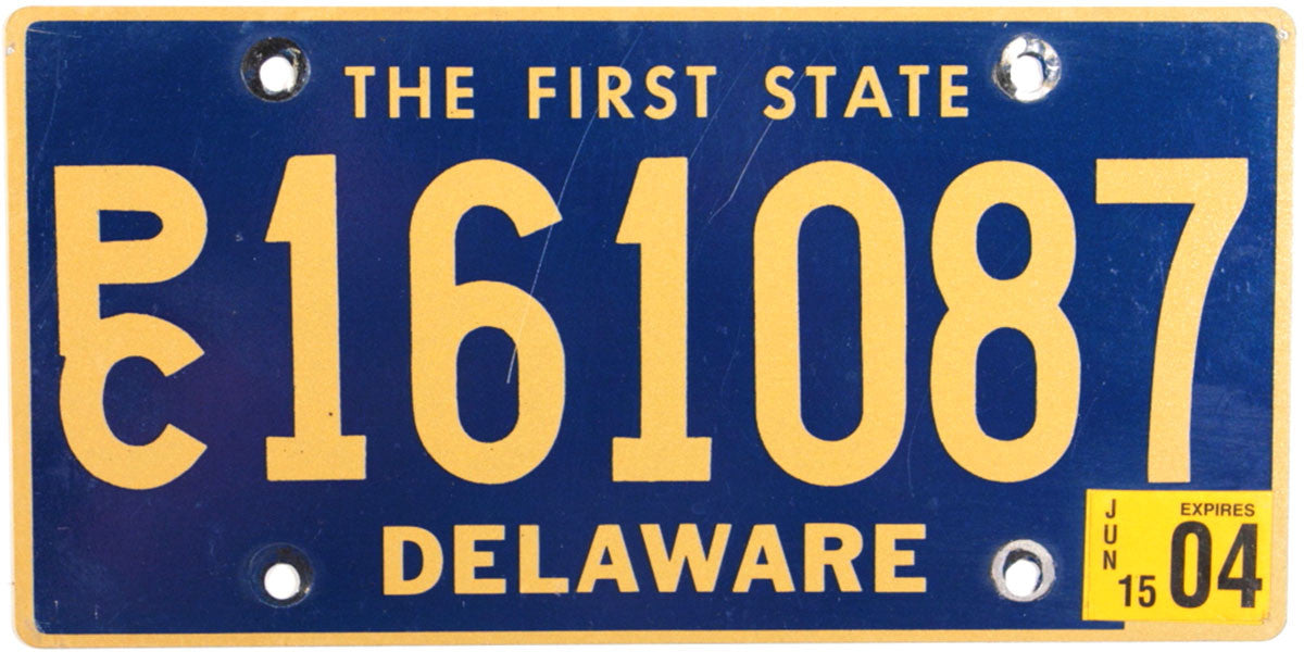 2004 Delaware Station Wagon License Plate