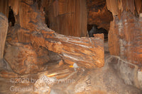 Fine art print of Fallen Timber in Luray Caverns Virginia