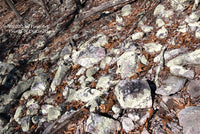 Fine art landscape print of Field of Purple Rocks on a steep mountain bank