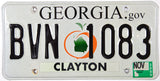 A 2009 Georgia passenger car license plate