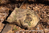 Art print of a Huge Oak Burl on the Forest Floor with Swirling patterns and hard knots