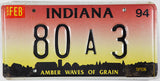 1994 Indiana License Plate