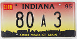1995 Indiana License Plate
