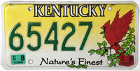 1999 Kentucky Cardinal License Plate