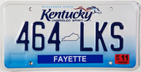 A 2010 Kentucky Passenger Car License Plate from Fayette County
